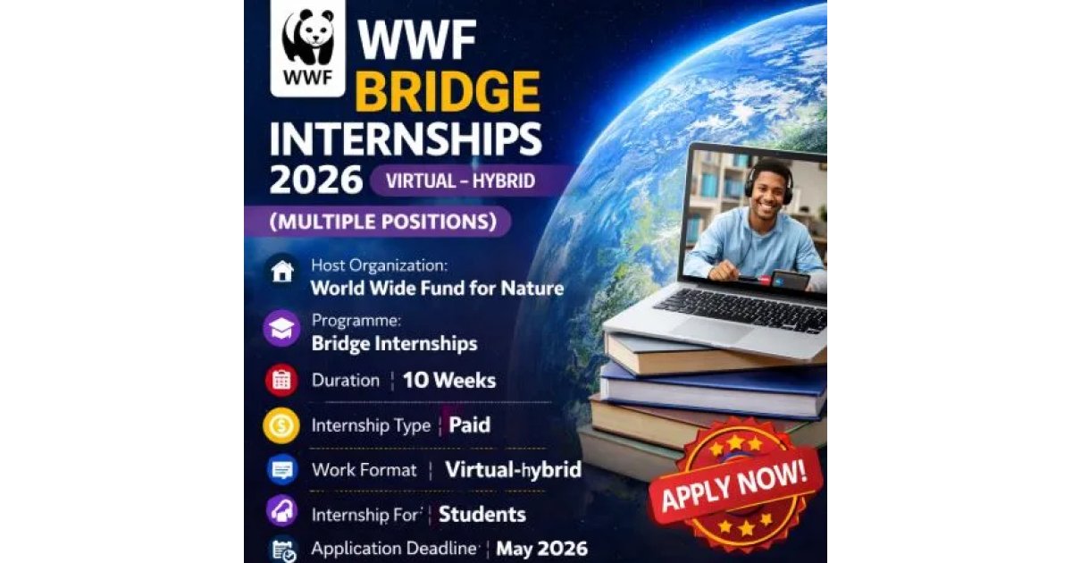 WWF Bridge 2026 Internships