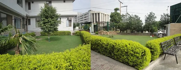 Pak International Medical College (PIMC)