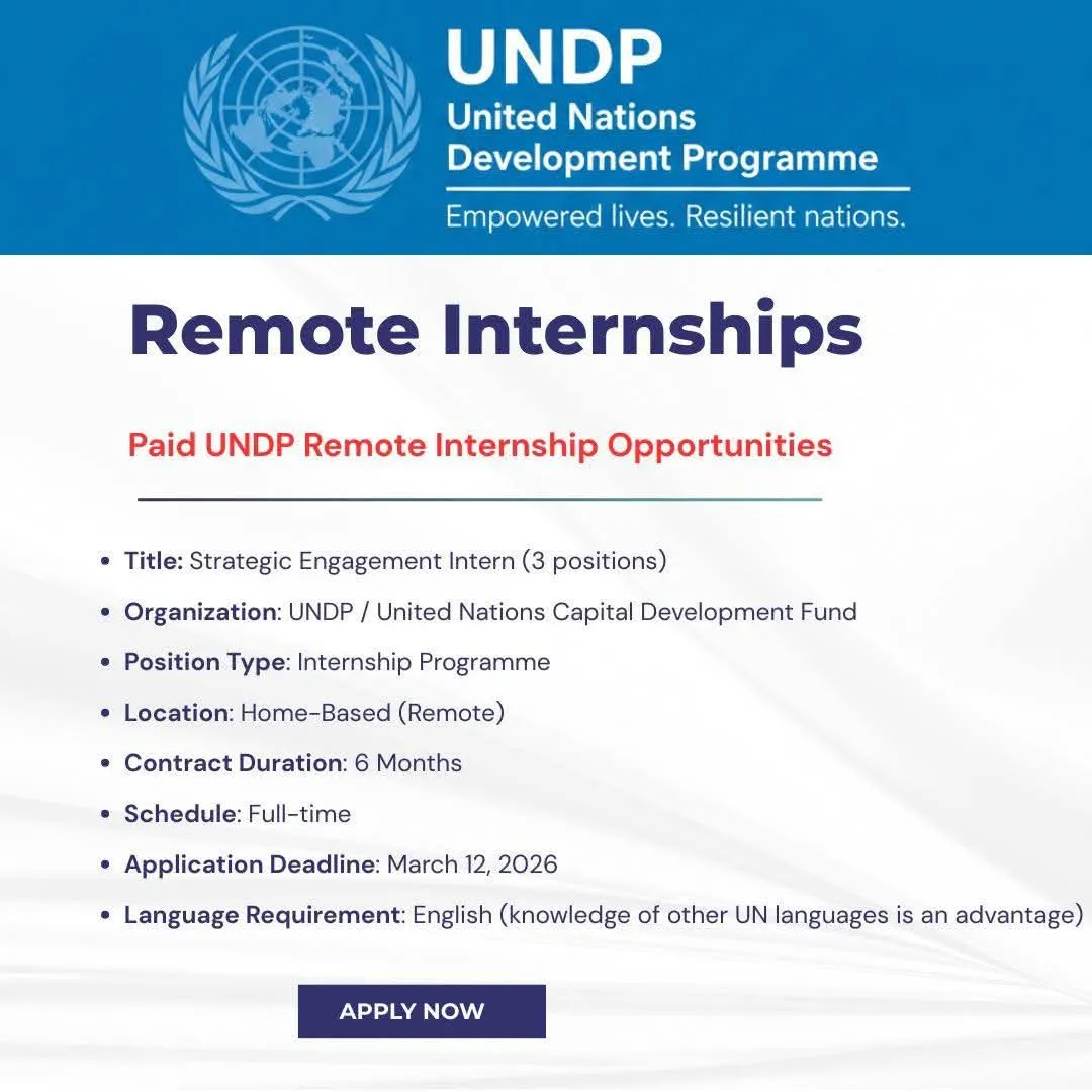 Paid UNDP Remote Internship for International Students Scholarship Information Paid UNDP Remote Internship for International Students Scholarship Information